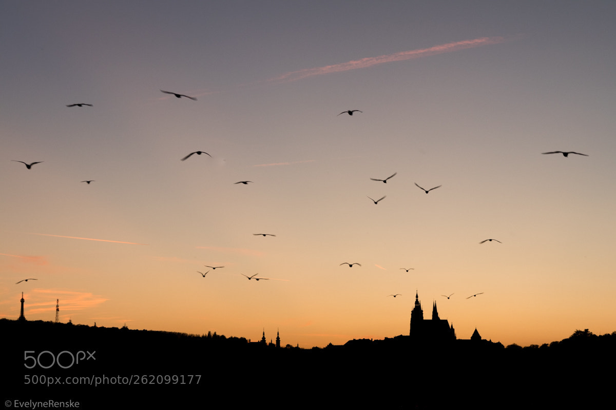Canon EOS 80D sample photo. Prague sunset photography