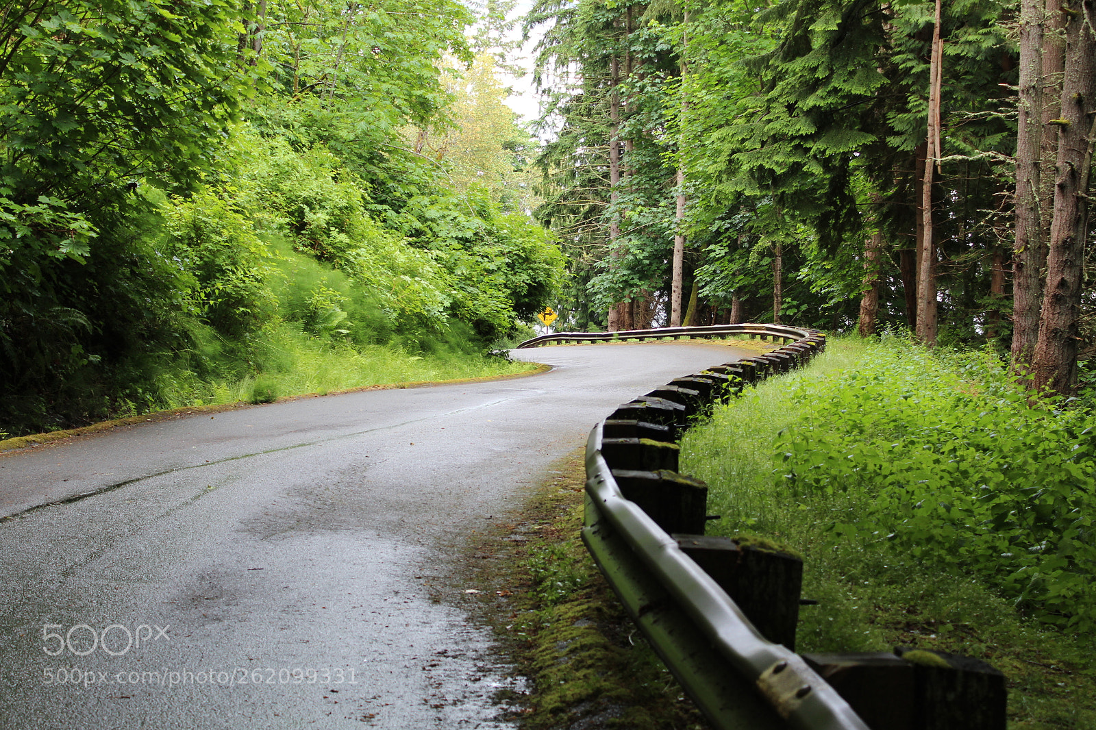 Canon EOS 1300D (EOS Rebel T6 / EOS Kiss X80) sample photo. Long windy roads photography