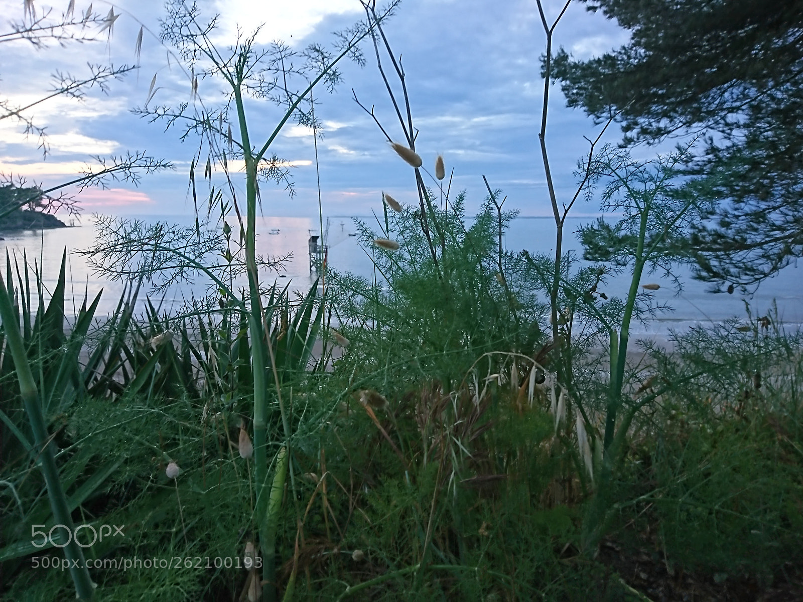 Sony Xperia XZ sample photo. Pêcherie photography