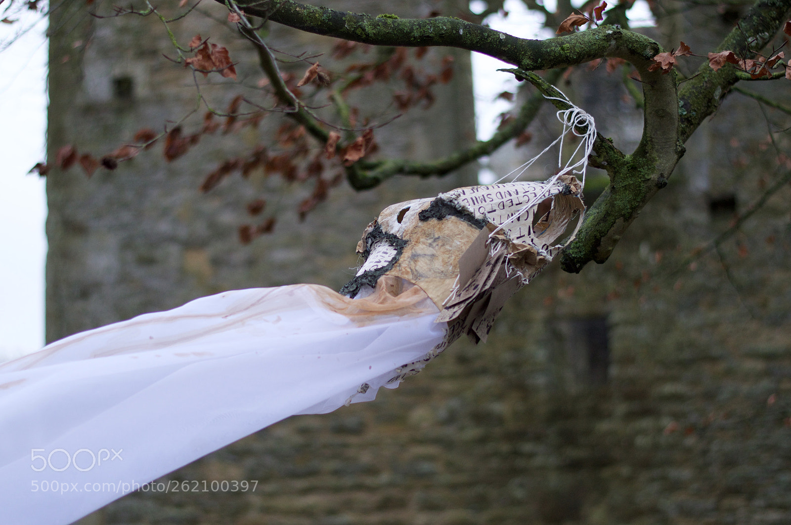 Nikon D3200 sample photo. Alone photography