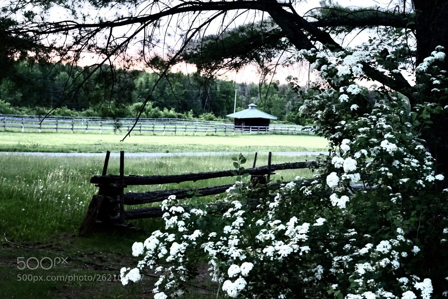 Sony a7 II sample photo. Horse shelter photography