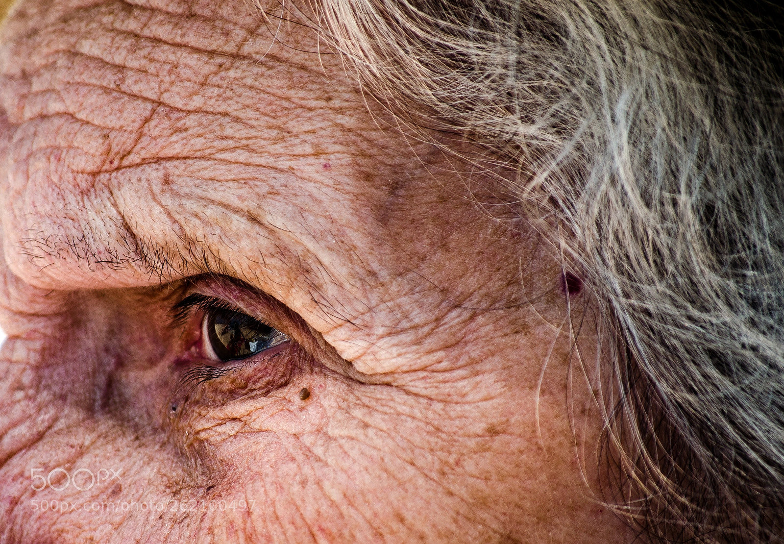 Nikon D5100 sample photo. And the vision that photography