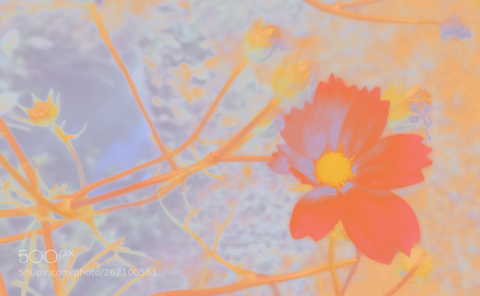Olympus SZ-15,DZ-100 sample photo. I'ii be with you photography