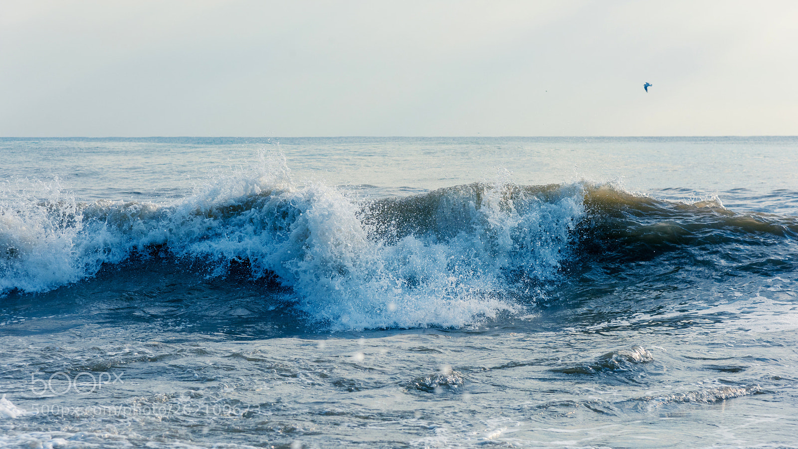 Nikon D810 sample photo. Stormy sea. wave. photography
