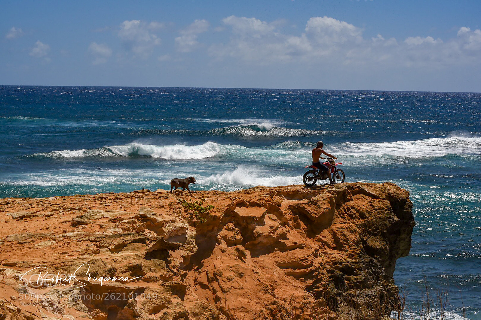 Nikon D750 sample photo. A boy and his photography