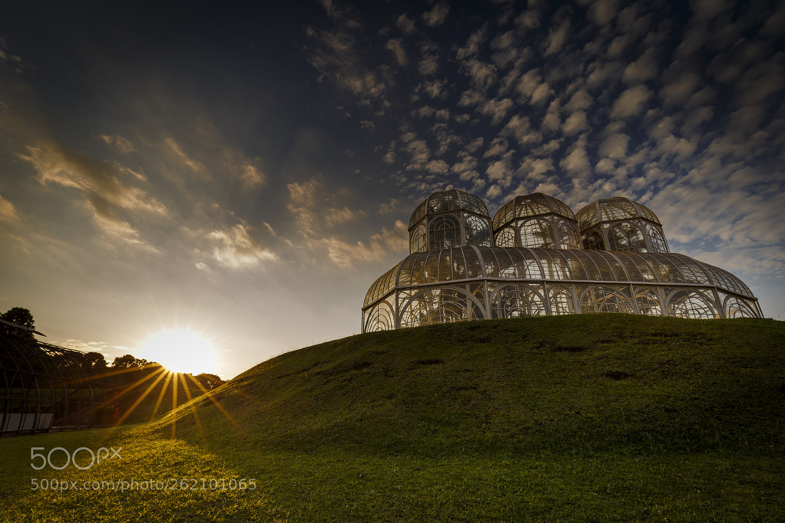 Canon EOS 6D sample photo. Botanic garden of curitiba photography