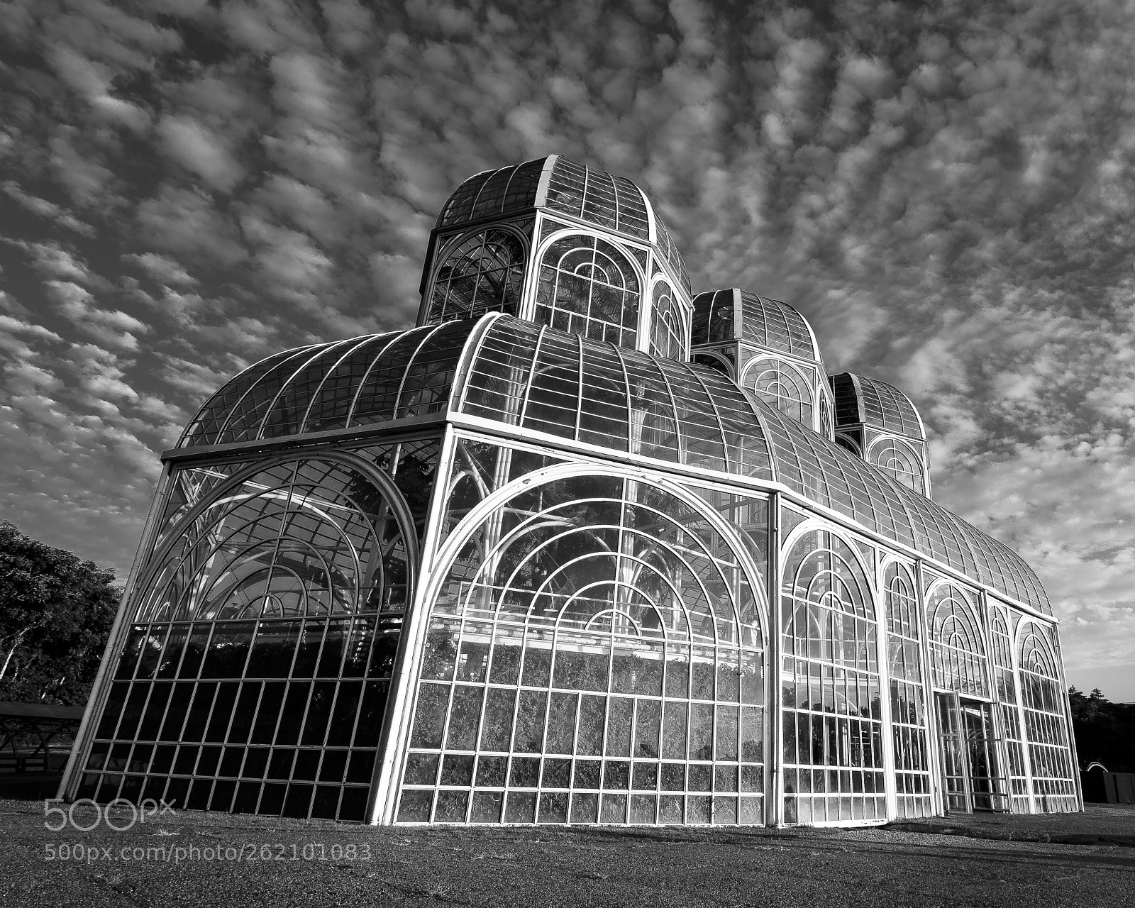 Canon EOS 6D sample photo. Botanic garden of curitiba photography