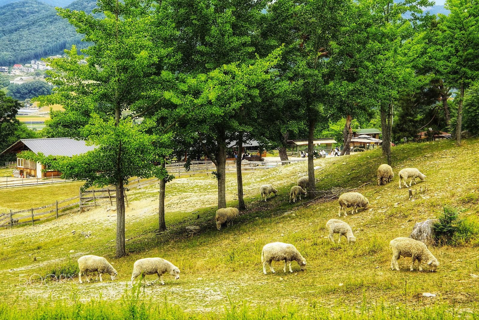 Canon EOS 5D Mark IV sample photo. Rest photography