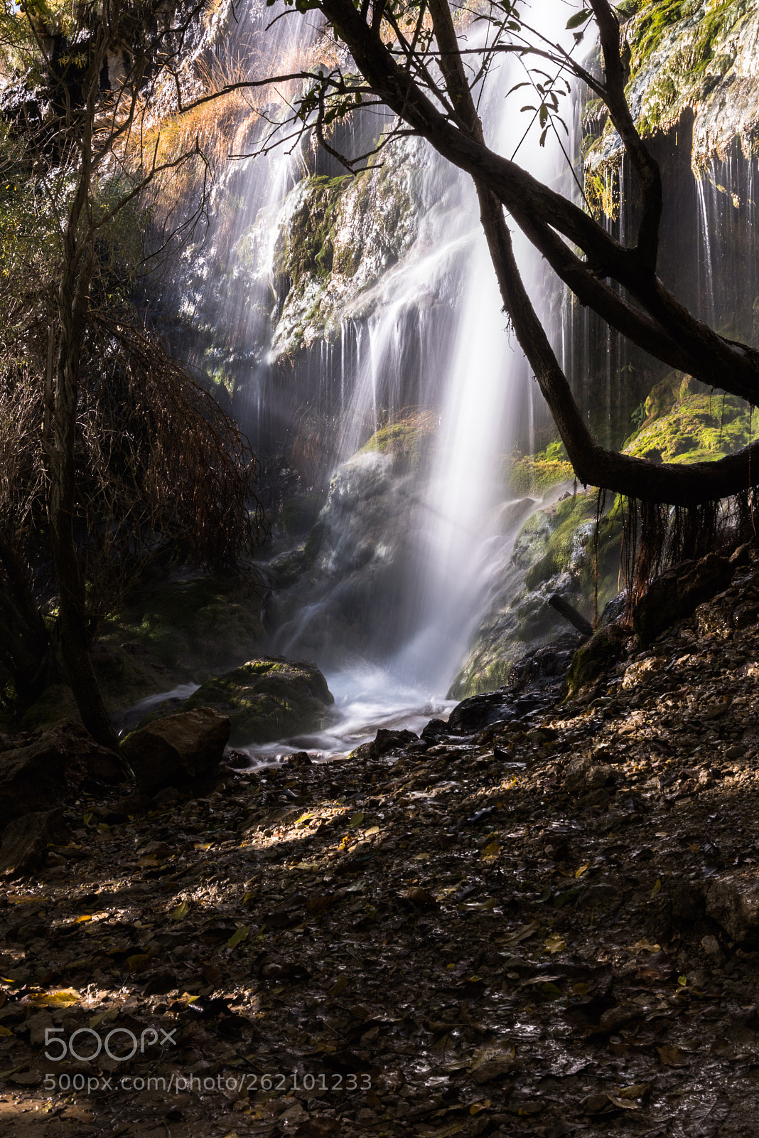 Nikon D750 sample photo. Camino del nacimiento del photography