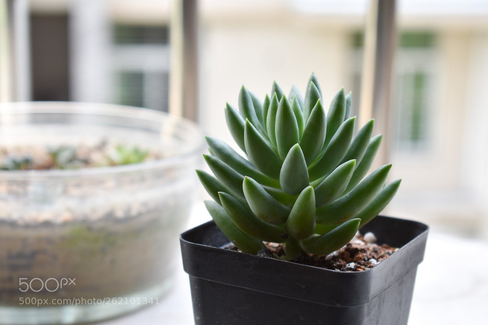 Nikon D3400 sample photo. Untitled photography