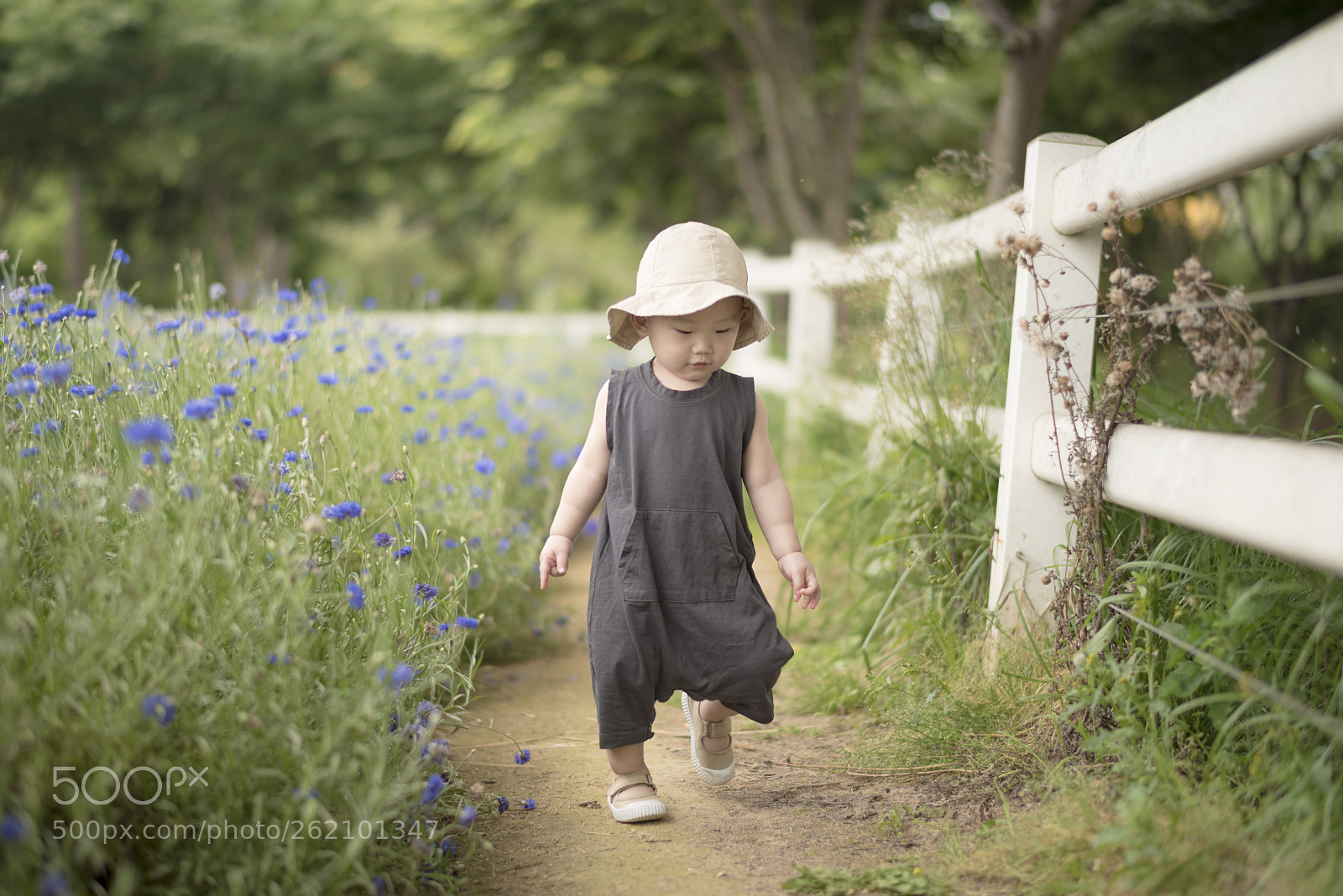 Nikon D750 sample photo. The flower way photography