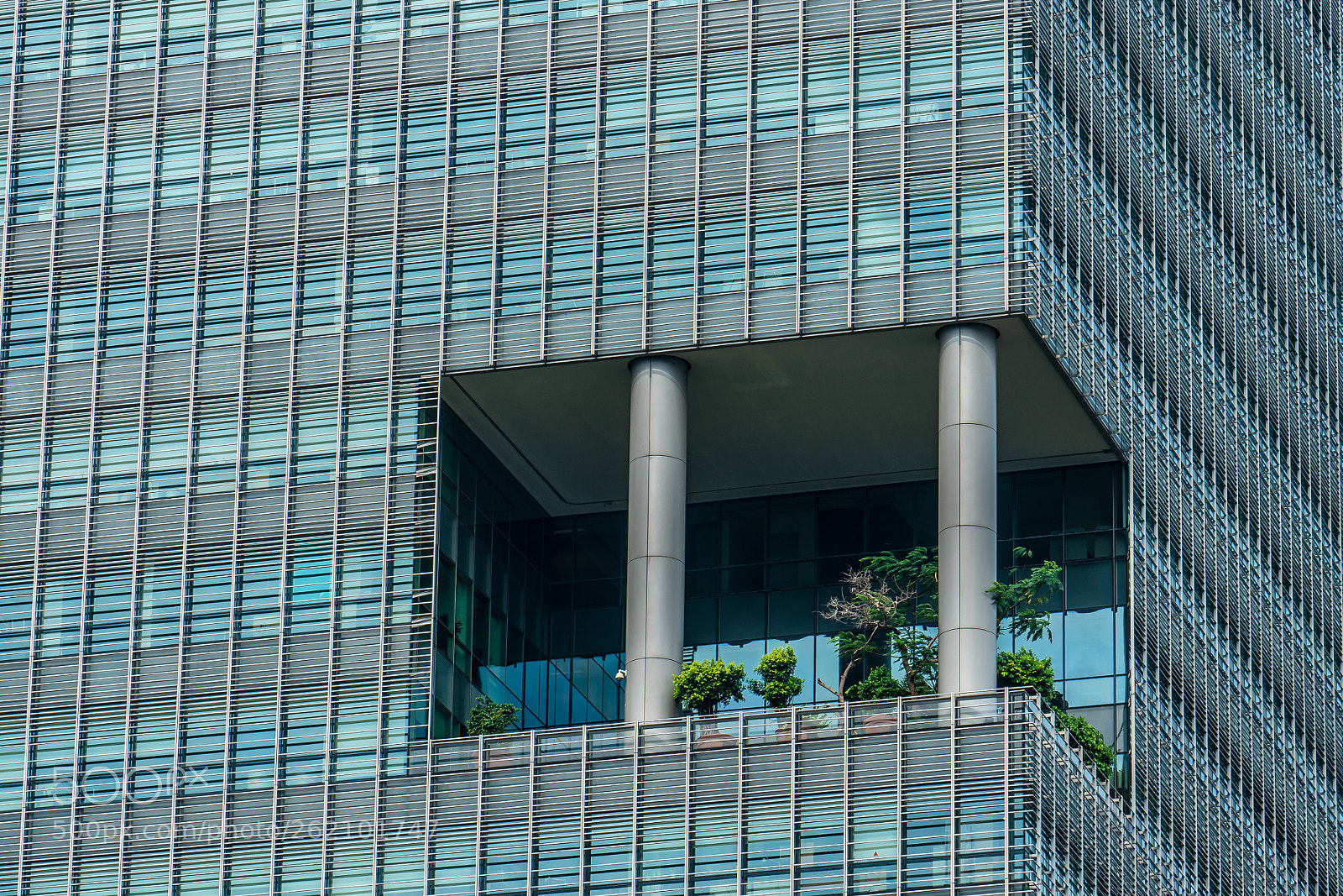 Sony a7R II sample photo. Skyscraper in the garden photography