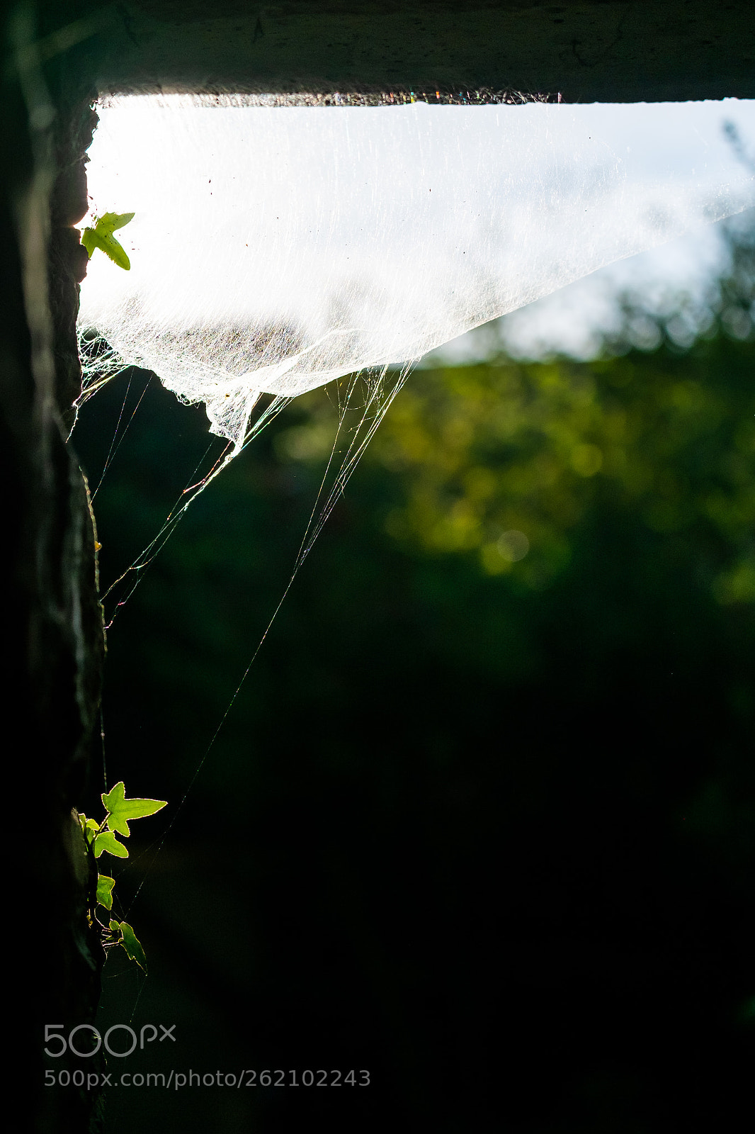 Fujifilm X-M1 sample photo. Though the door photography
