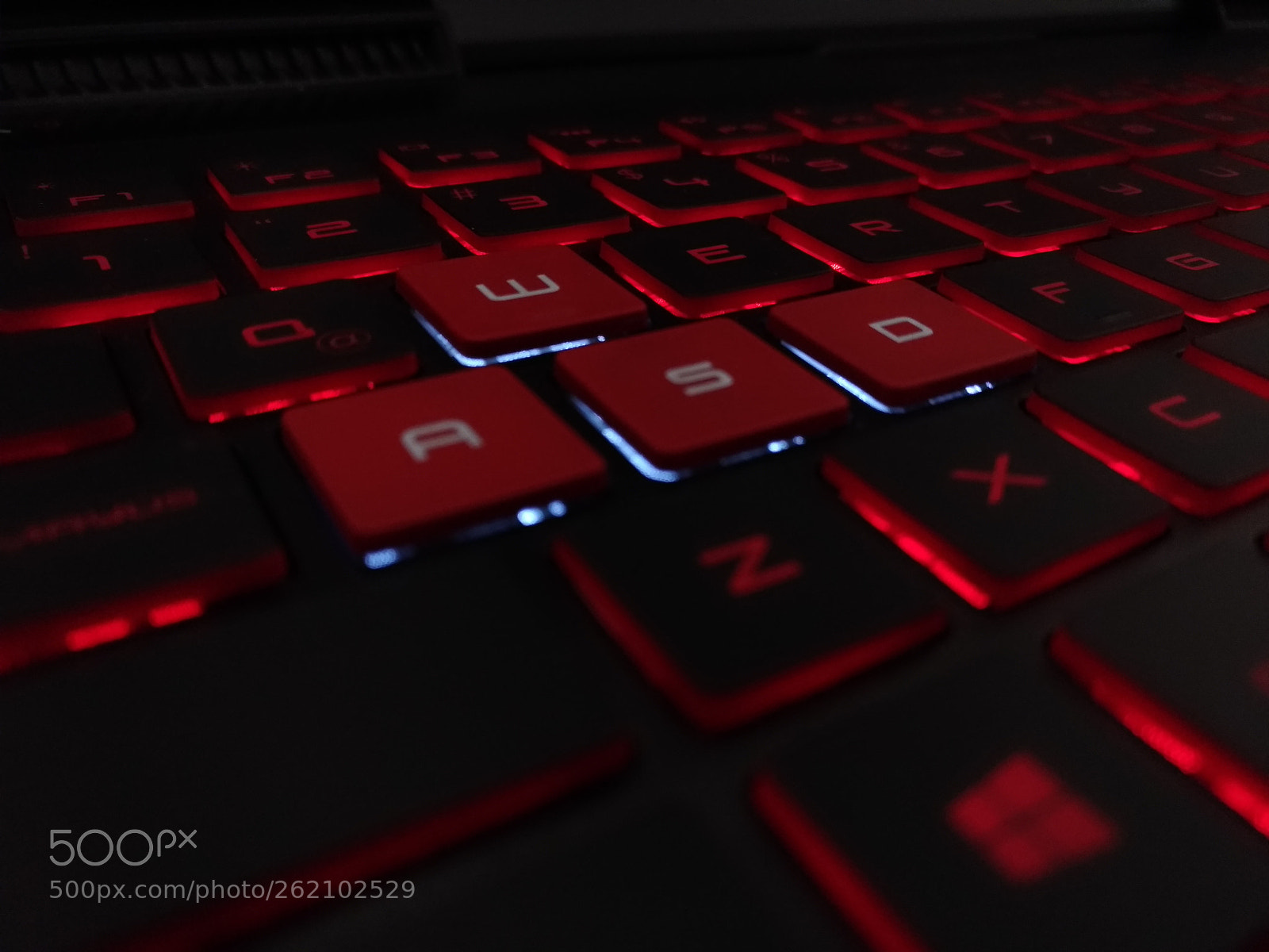 ASUS Z012DC sample photo. Untitled photography