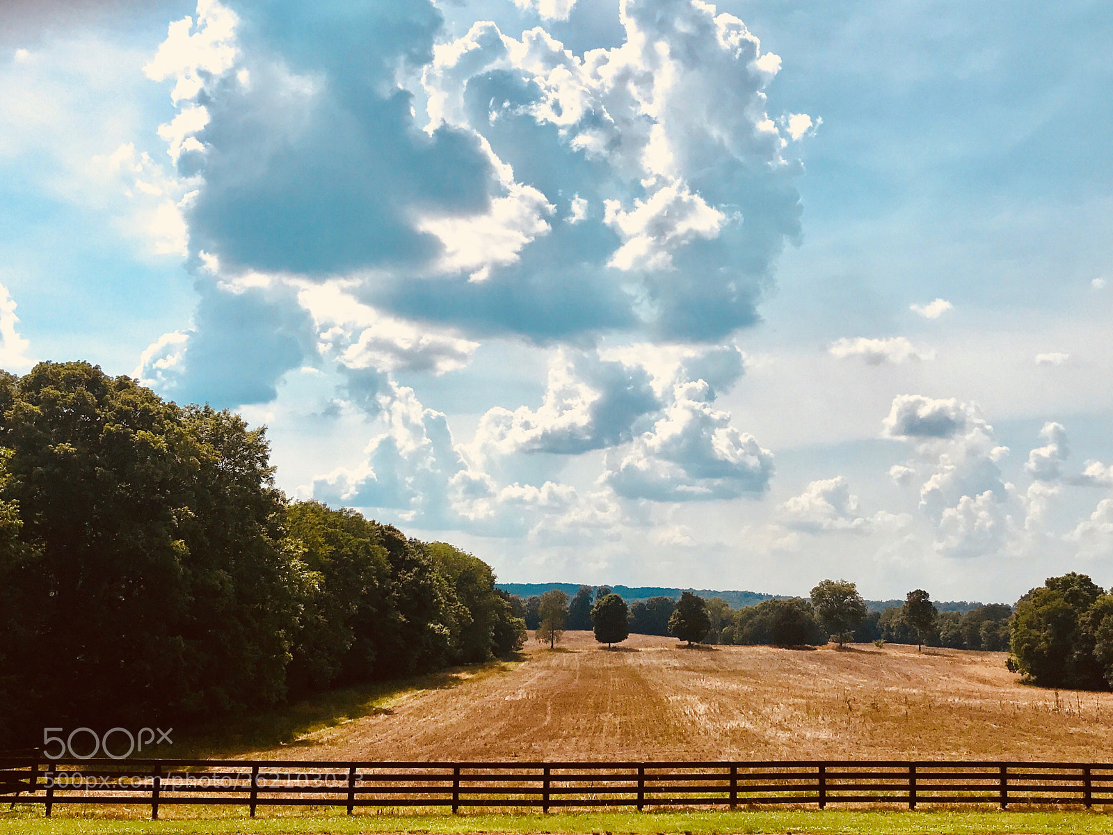 Apple iPhone 7 Plus sample photo. Pasture in the parks photography
