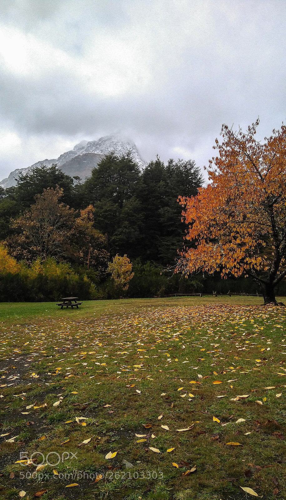 Motorola Moto G (5S) Plus sample photo. Cold paradise photography
