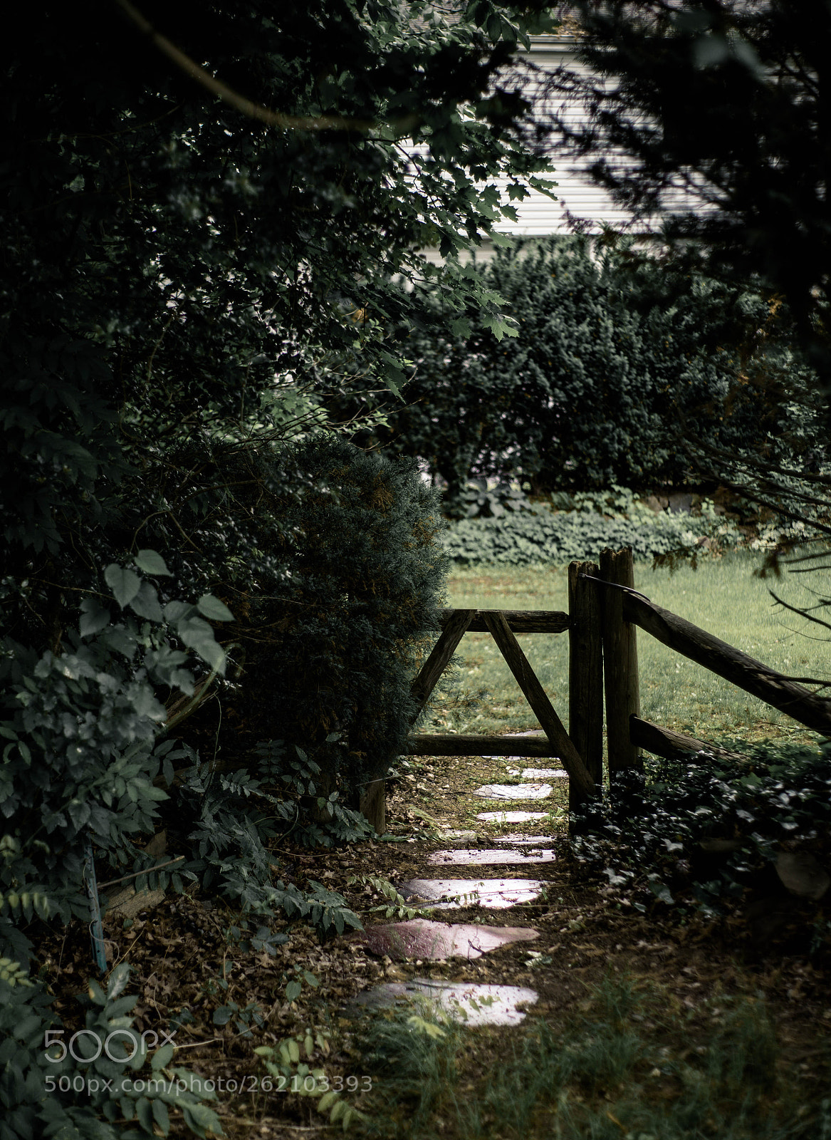 Nikon D610 sample photo. Pathway to nothingness photography