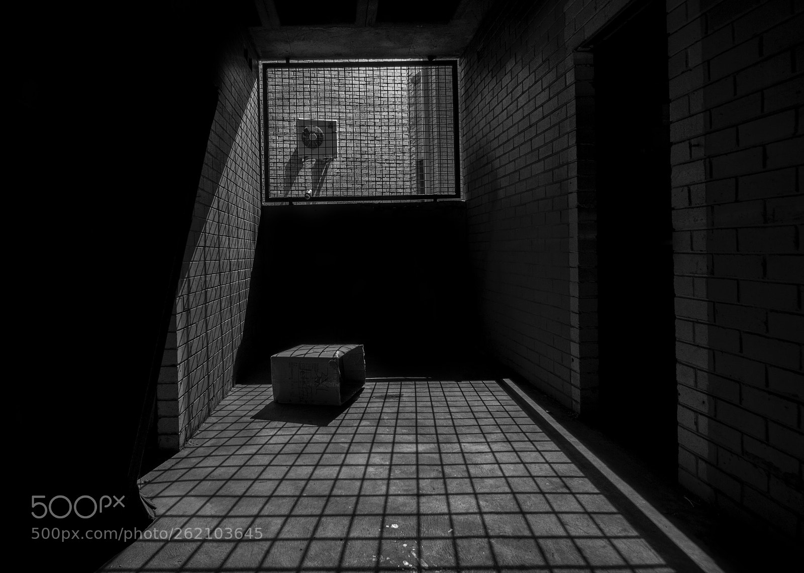 Canon EOS 600D (Rebel EOS T3i / EOS Kiss X5) sample photo. Bw photography