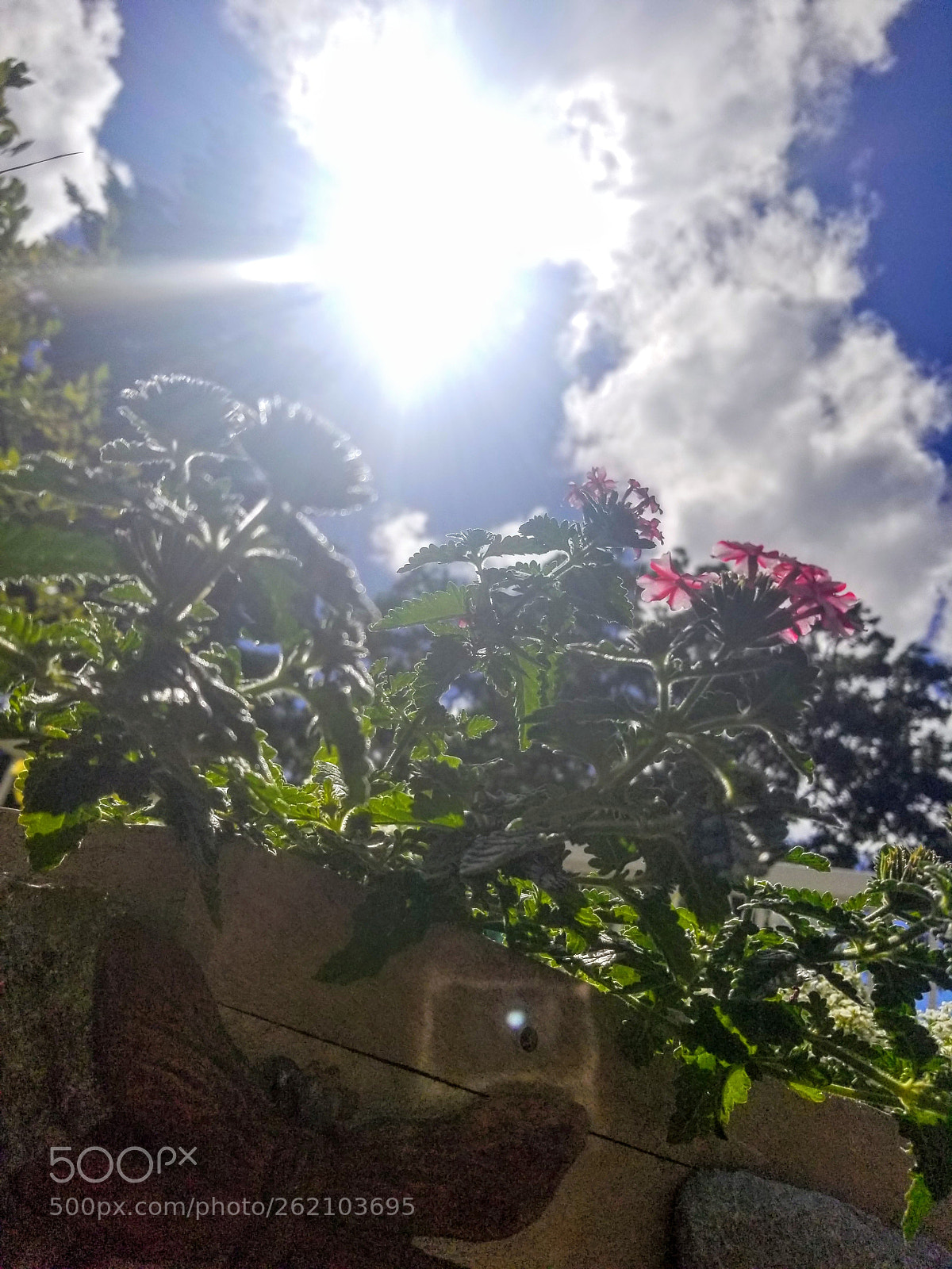 Samsung Galaxy S8 sample photo. Untitled photography