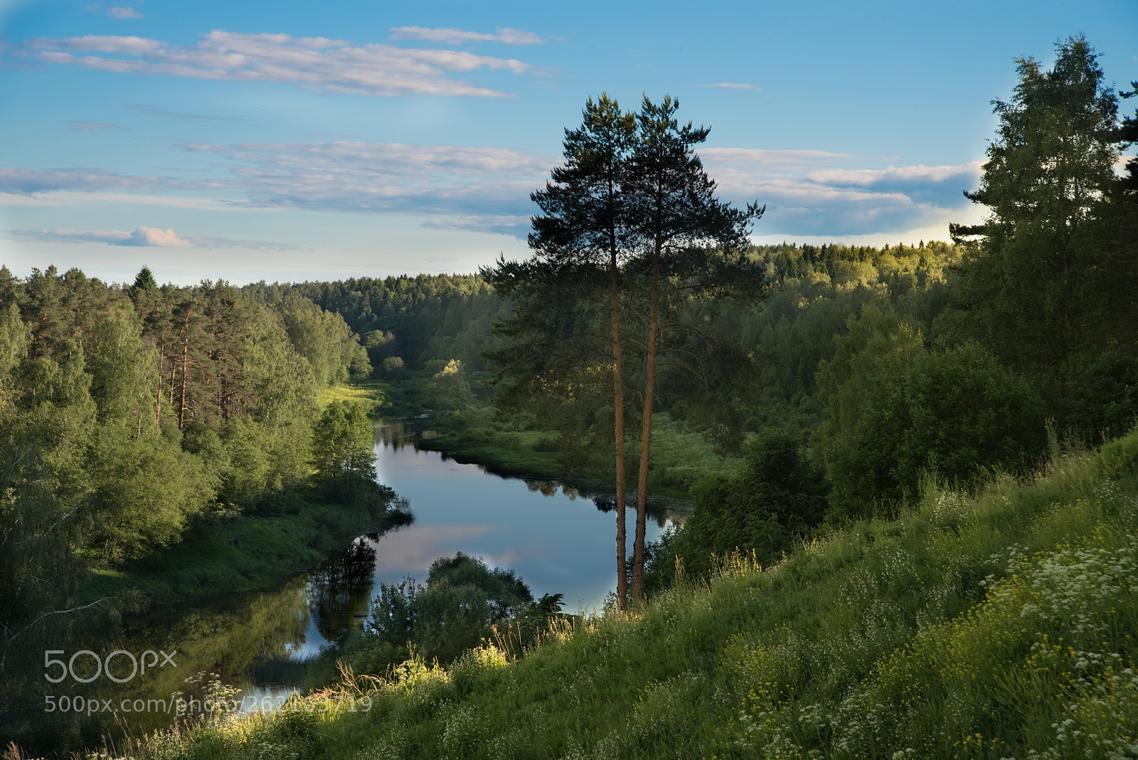 Nikon D750 sample photo. Russia 3 photography