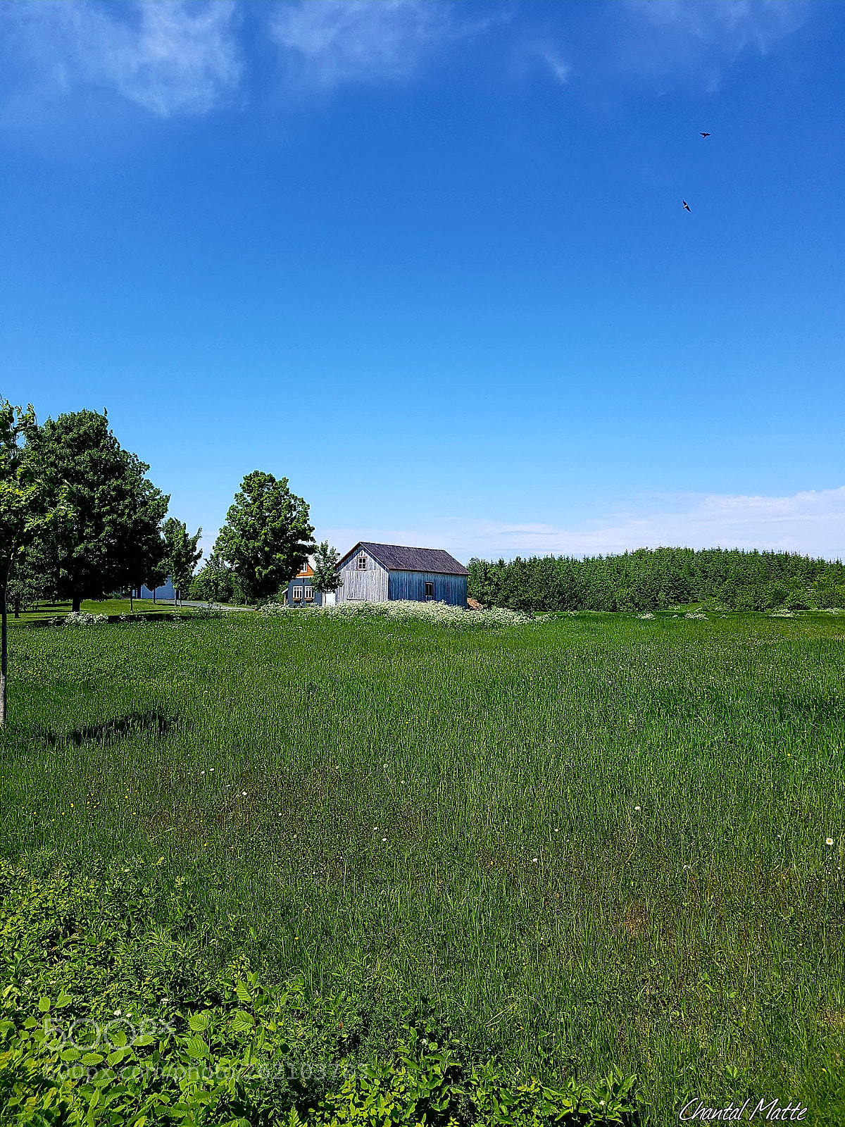 Samsung Galaxy S7 sample photo. The little house on photography