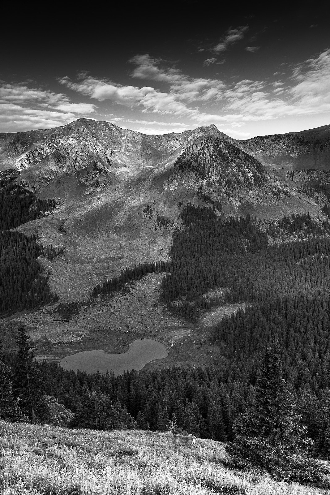 Canon EOS 600D (Rebel EOS T3i / EOS Kiss X5) sample photo. Wheeler peak, new mexico photography