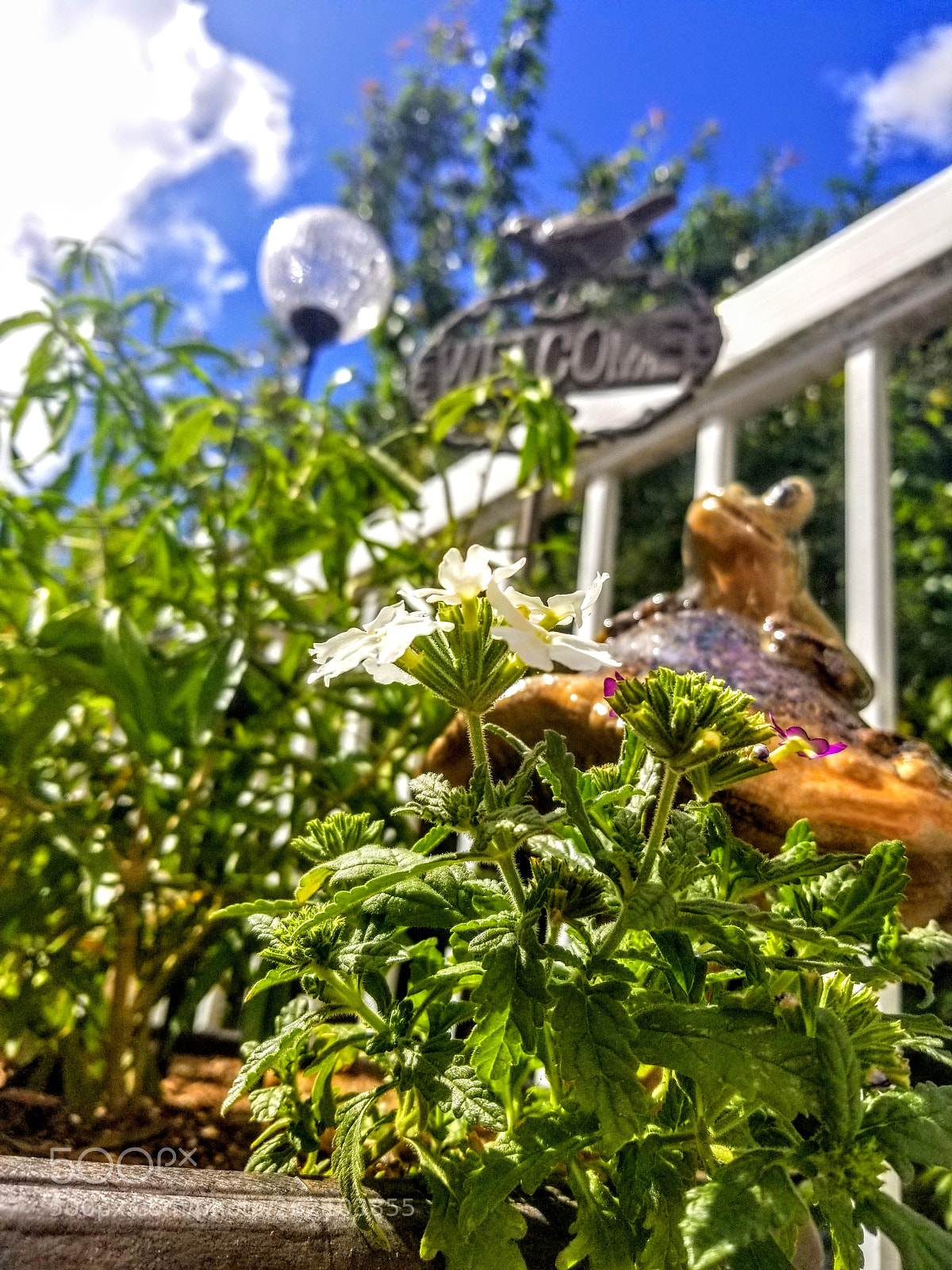 Samsung Galaxy S8 sample photo. Untitled photography