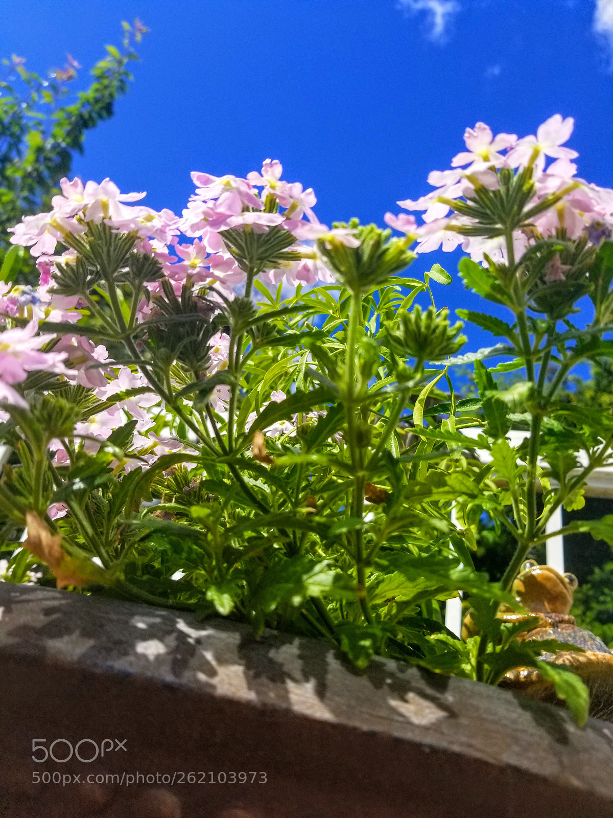 Samsung Galaxy S8 sample photo. Untitled photography