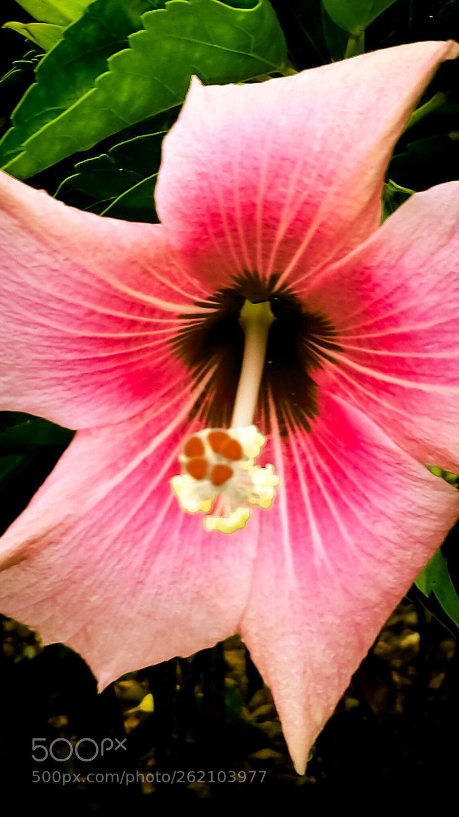 Samsung Galaxy S4 sample photo. Lrm exp photography