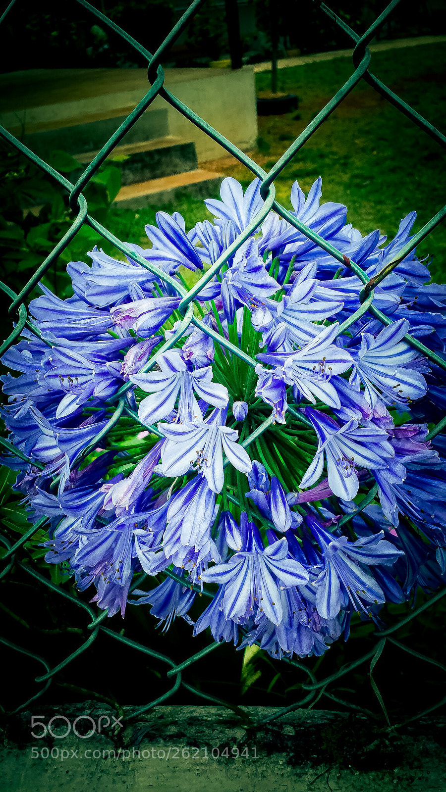 Samsung Galaxy S4 sample photo. Untitled photography