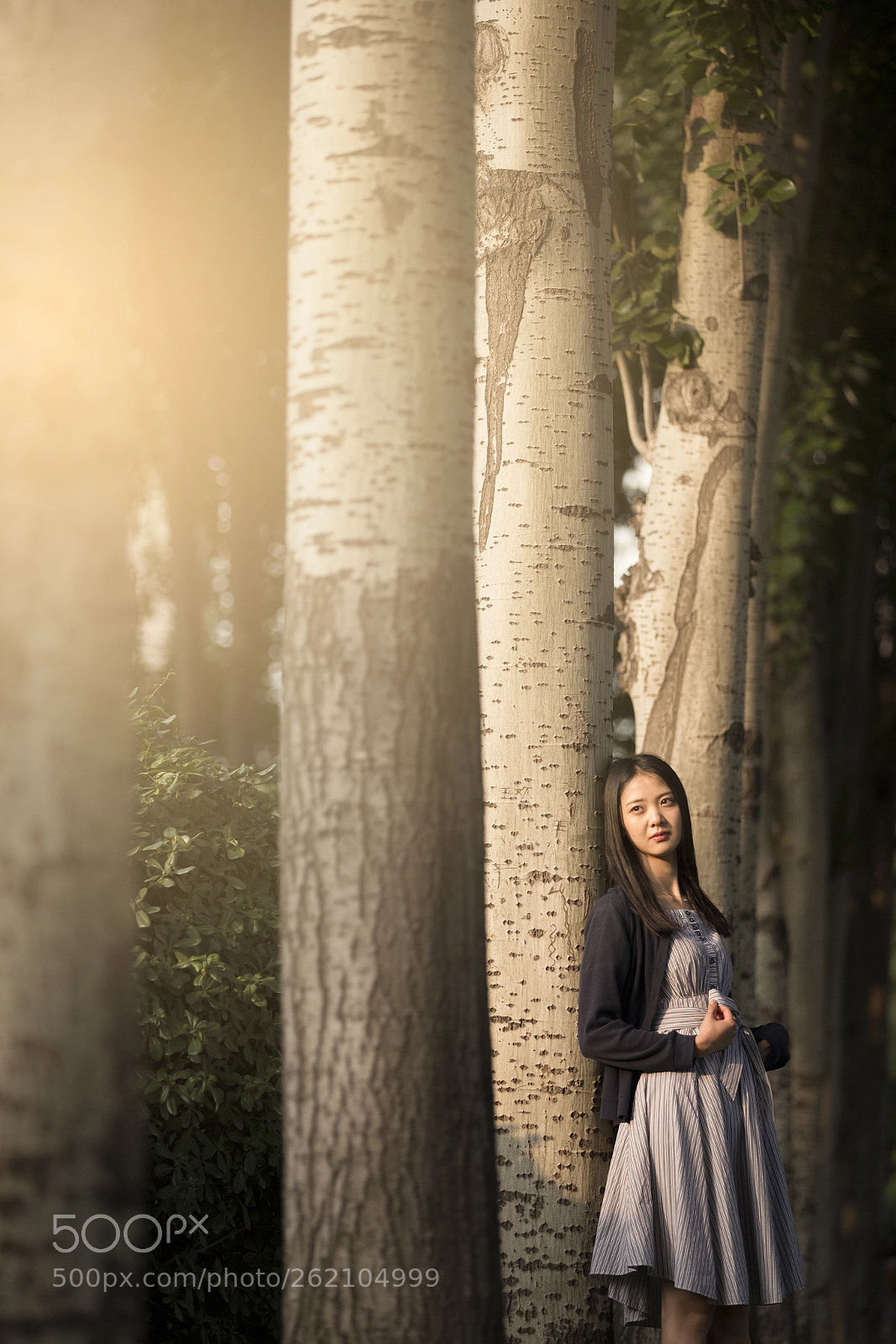 Canon EOS 6D sample photo. Untitled photography