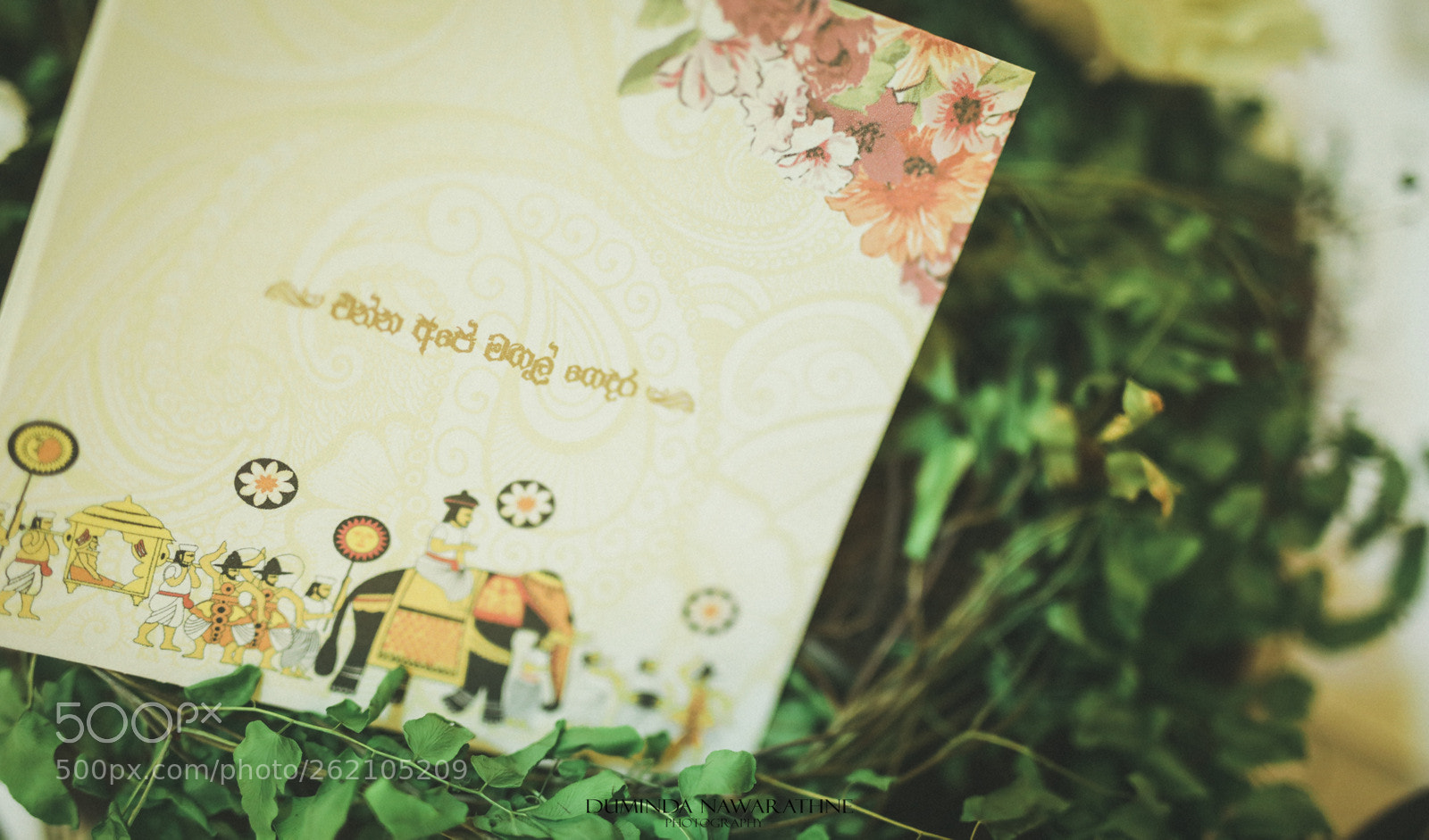 Canon EOS 5D Mark IV sample photo. Ja photography