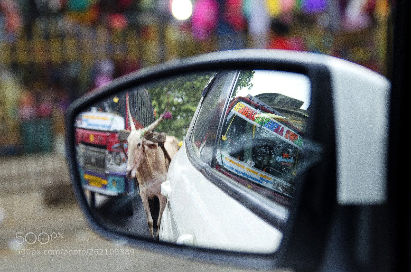 Nikon D7000 sample photo. Bangalore, india photography