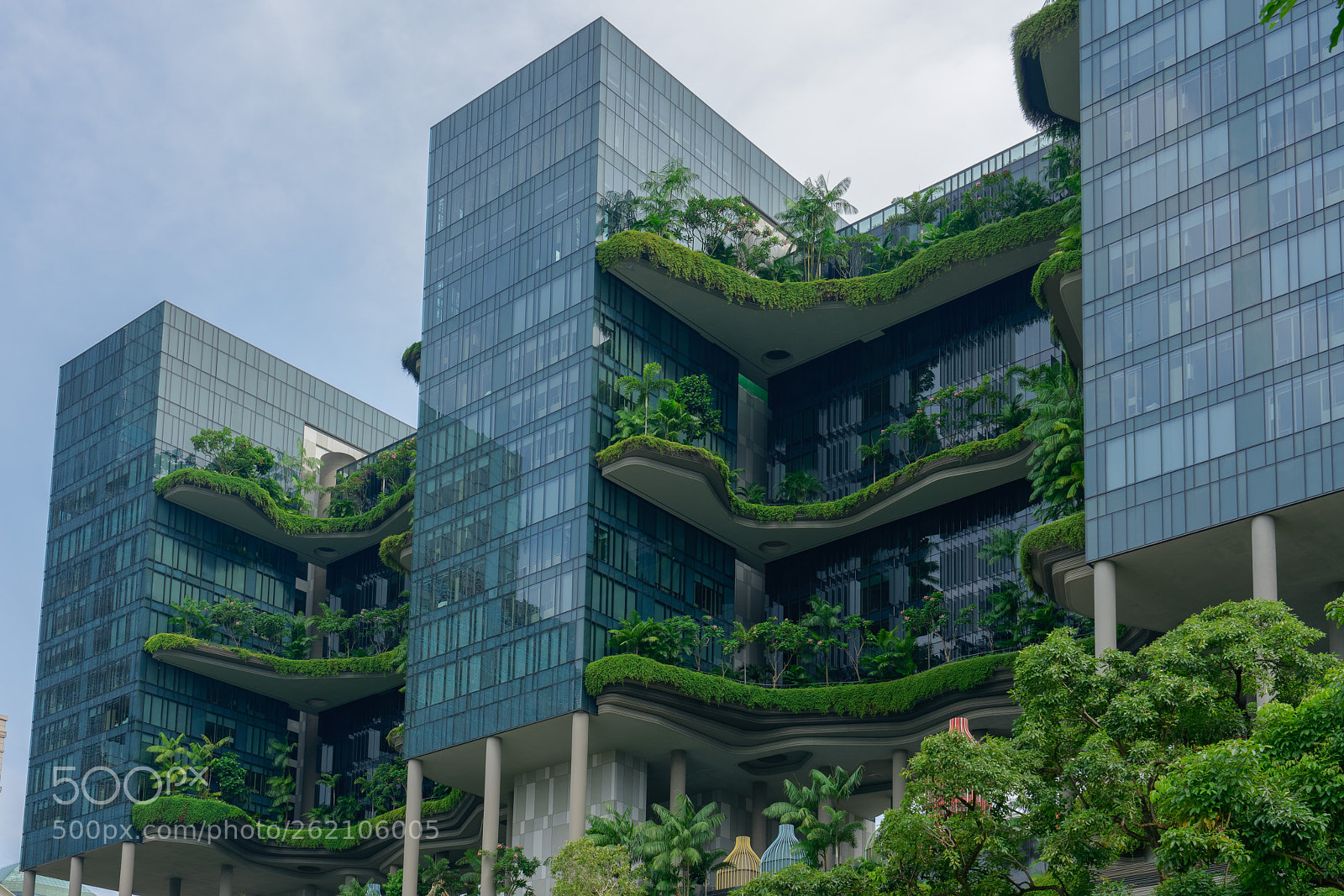 Sony a7R II sample photo. Singapore - june 310 photography