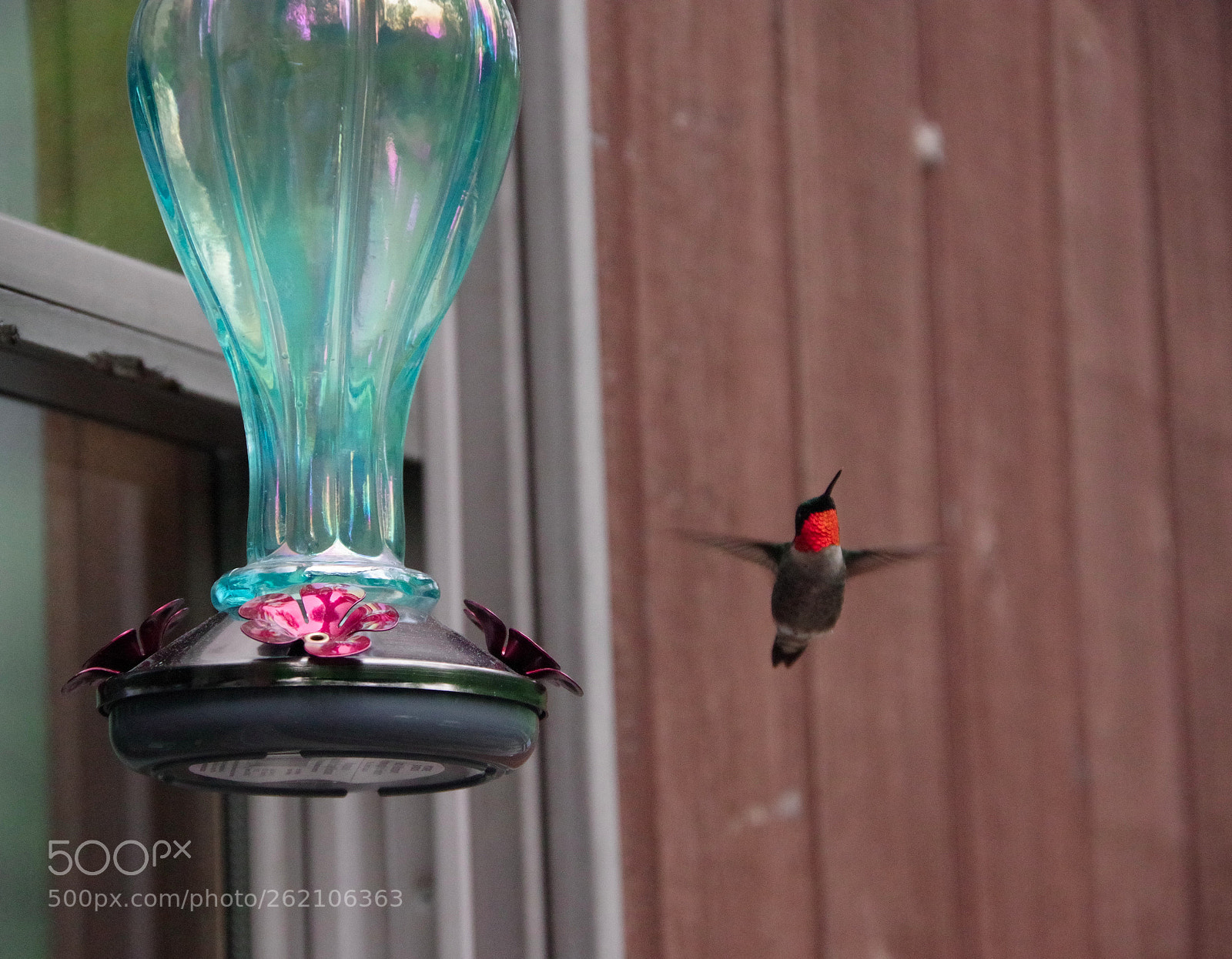 Pentax K-70 sample photo. Another hummingbird attempt photography