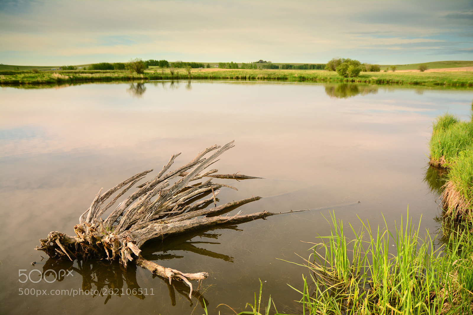 Nikon D7100 sample photo. Morning at dewitt's pond photography