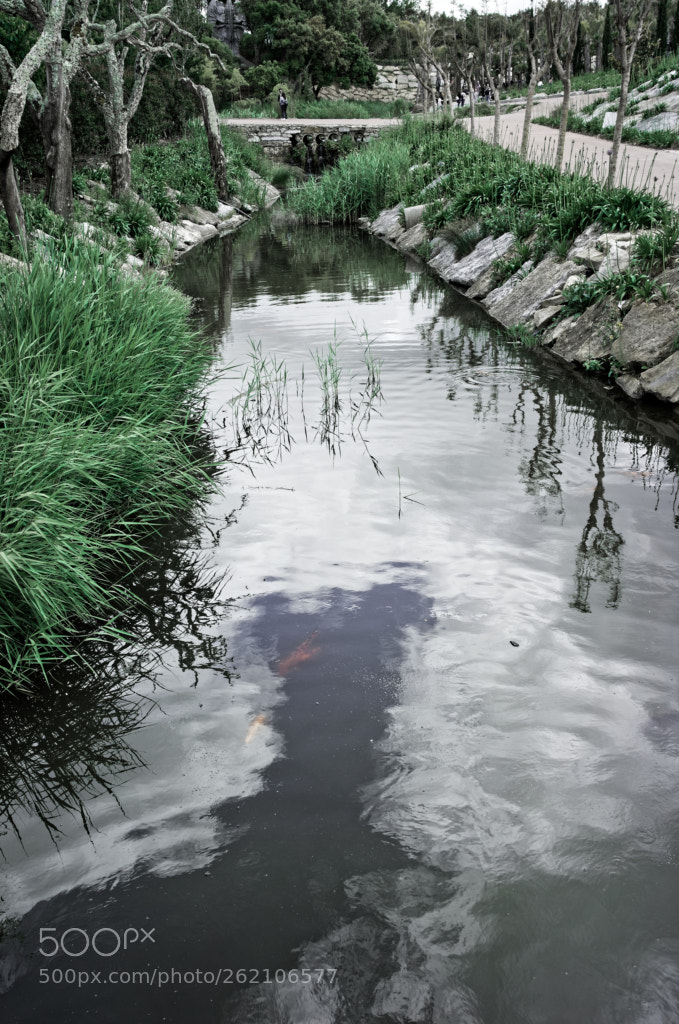 Sony a7R sample photo. Reflections photography