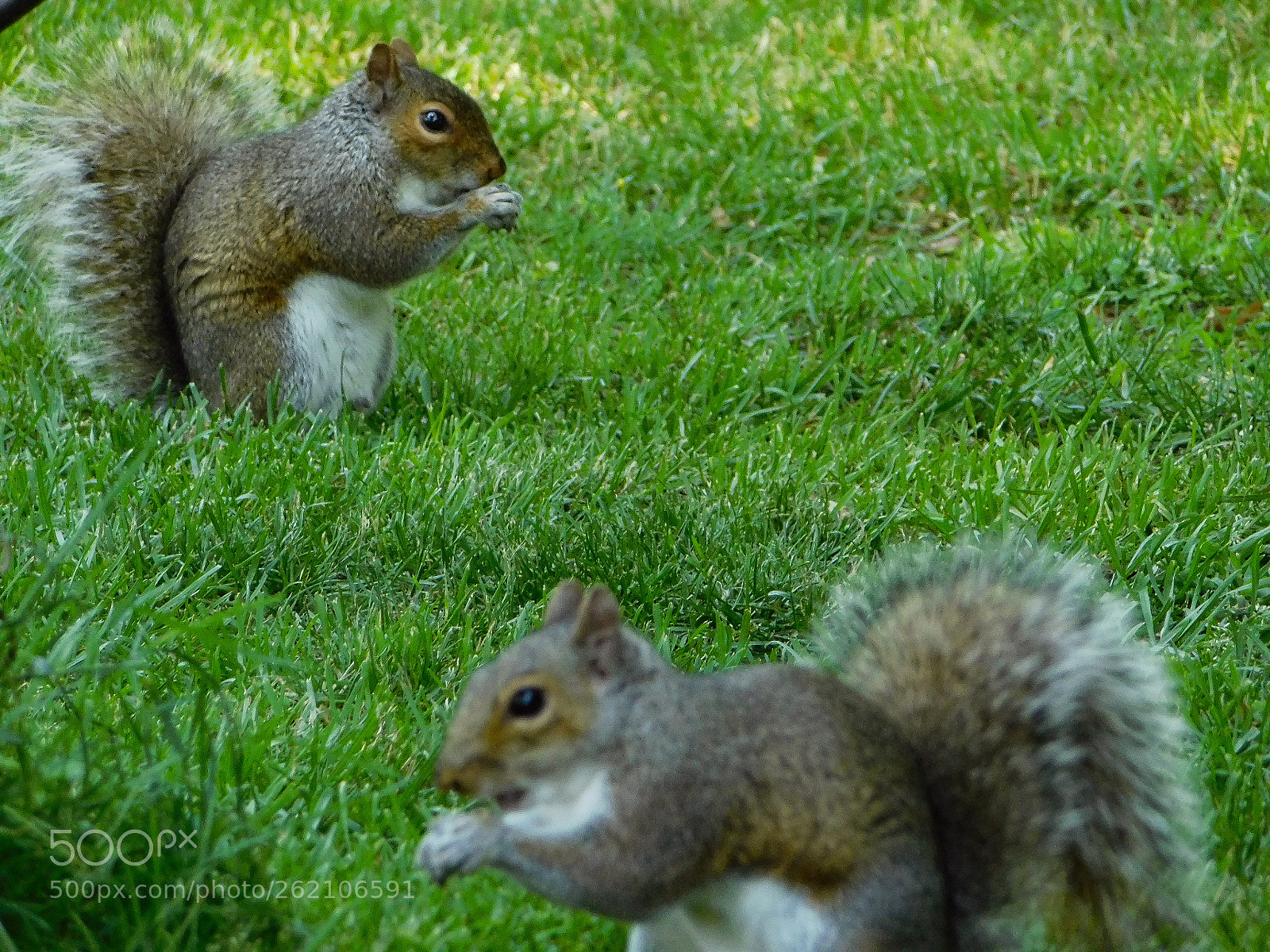 Nikon Coolpix B500 sample photo. Best friends enjoying breakfast photography
