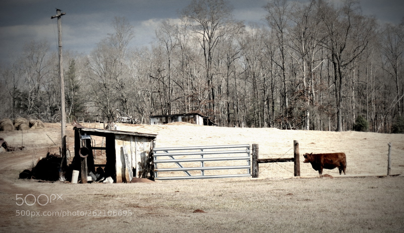Olympus SZ-15,DZ-100 sample photo. Old pasture photography