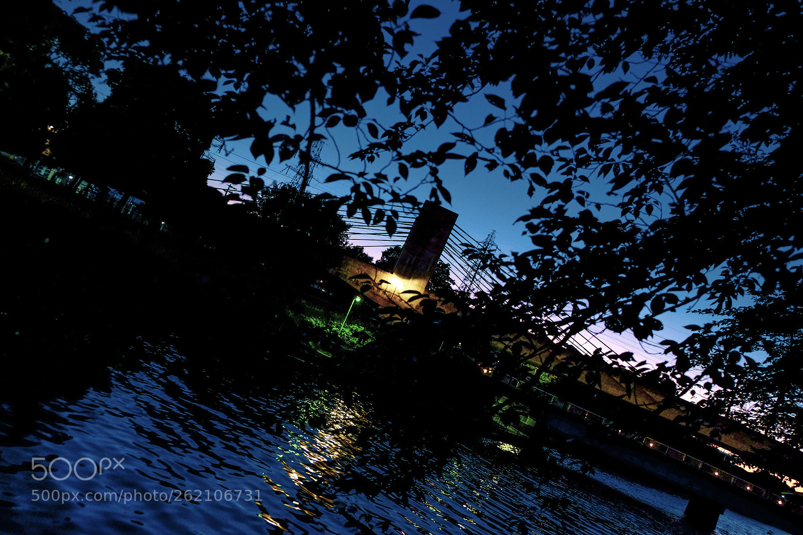 Fujifilm X-T1 sample photo. Untitled photography