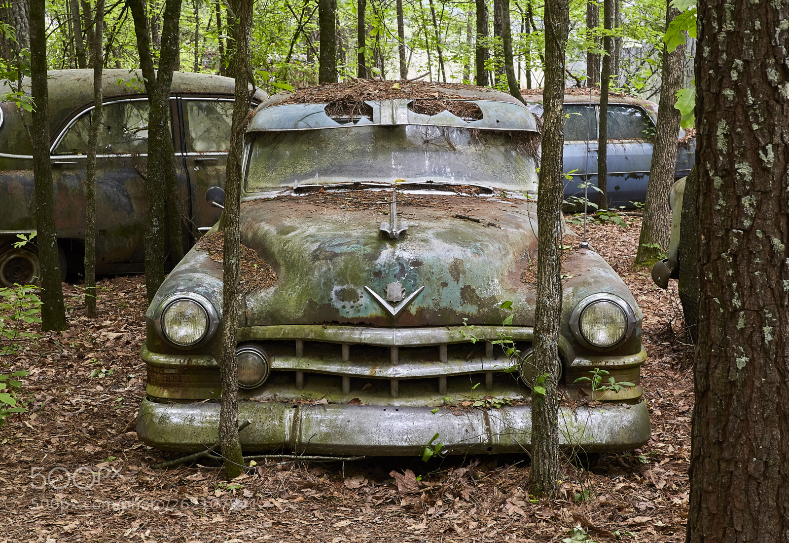 Canon EOS 6D sample photo. Old, rusting green car photography