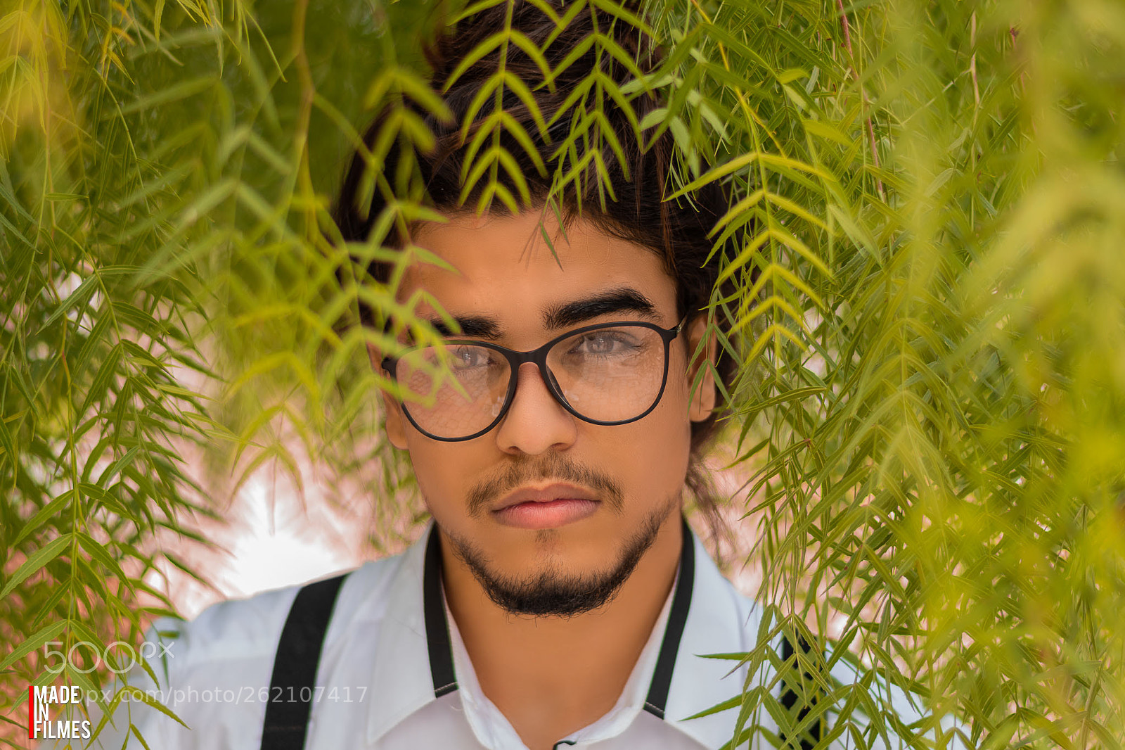 Nikon D5600 sample photo. Pedro heifer photography