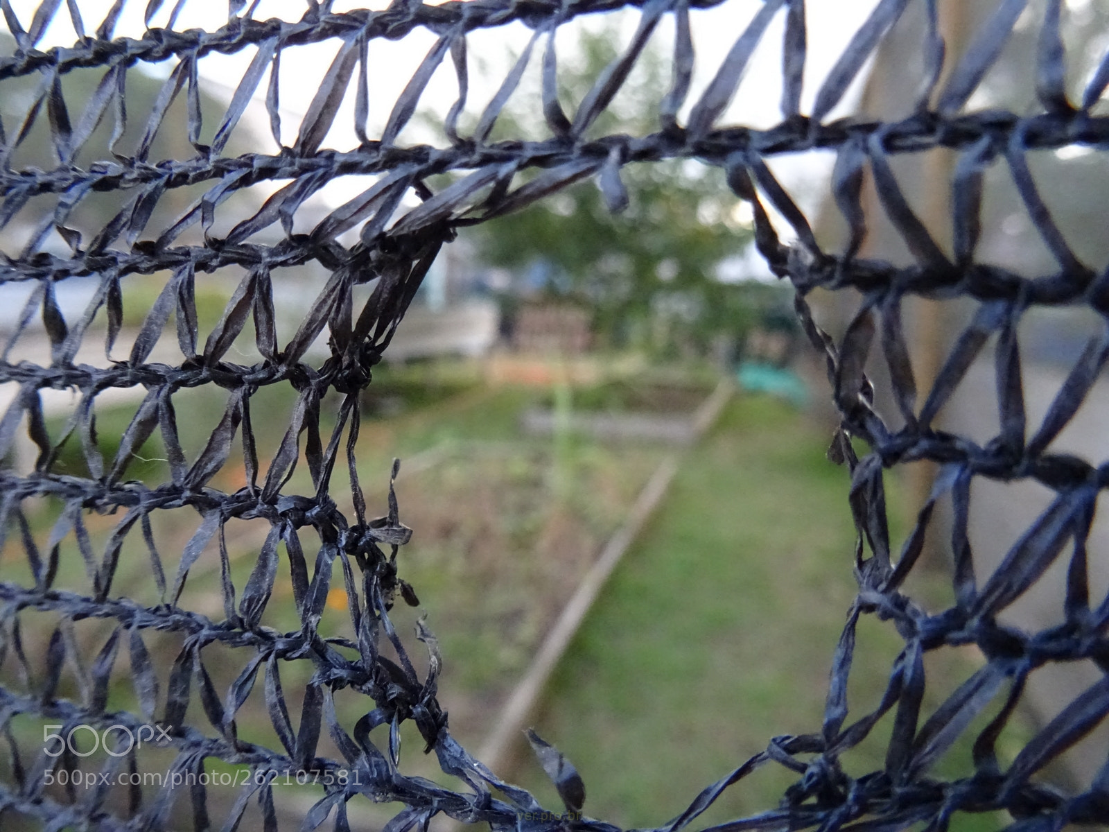 Sony DSC-HX60V sample photo. Buraco photography