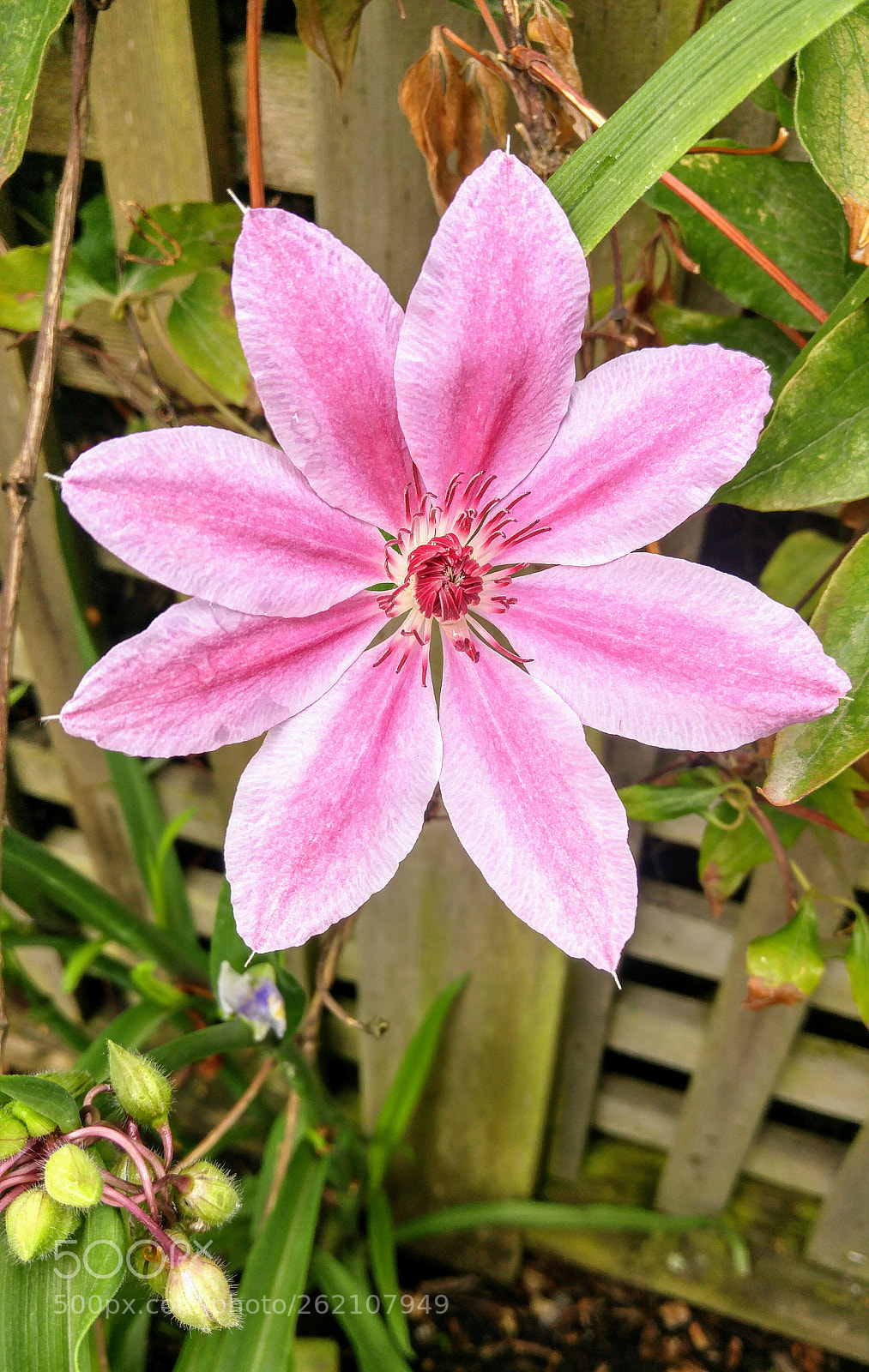 LG G4 sample photo. Perfectly shaped photography