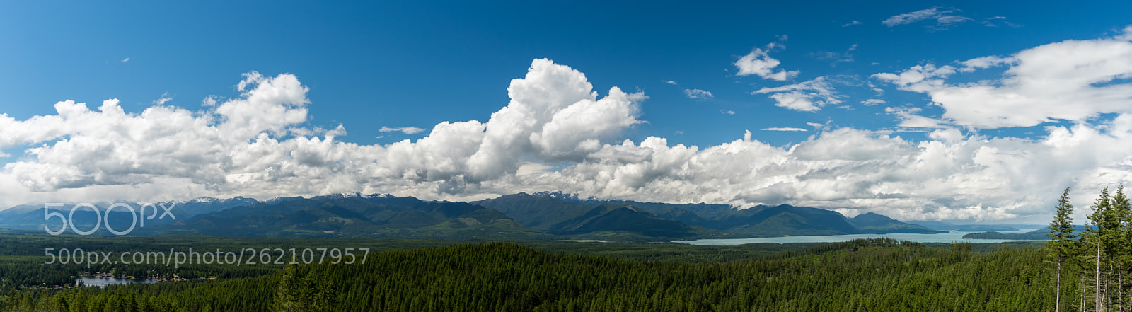 Sony a7R III sample photo. Olympic national forrest photography