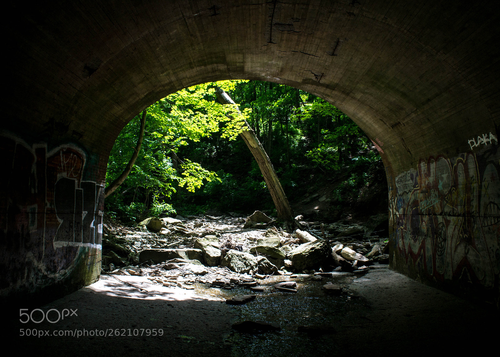 Nikon D3100 sample photo. Tunnel vision photography