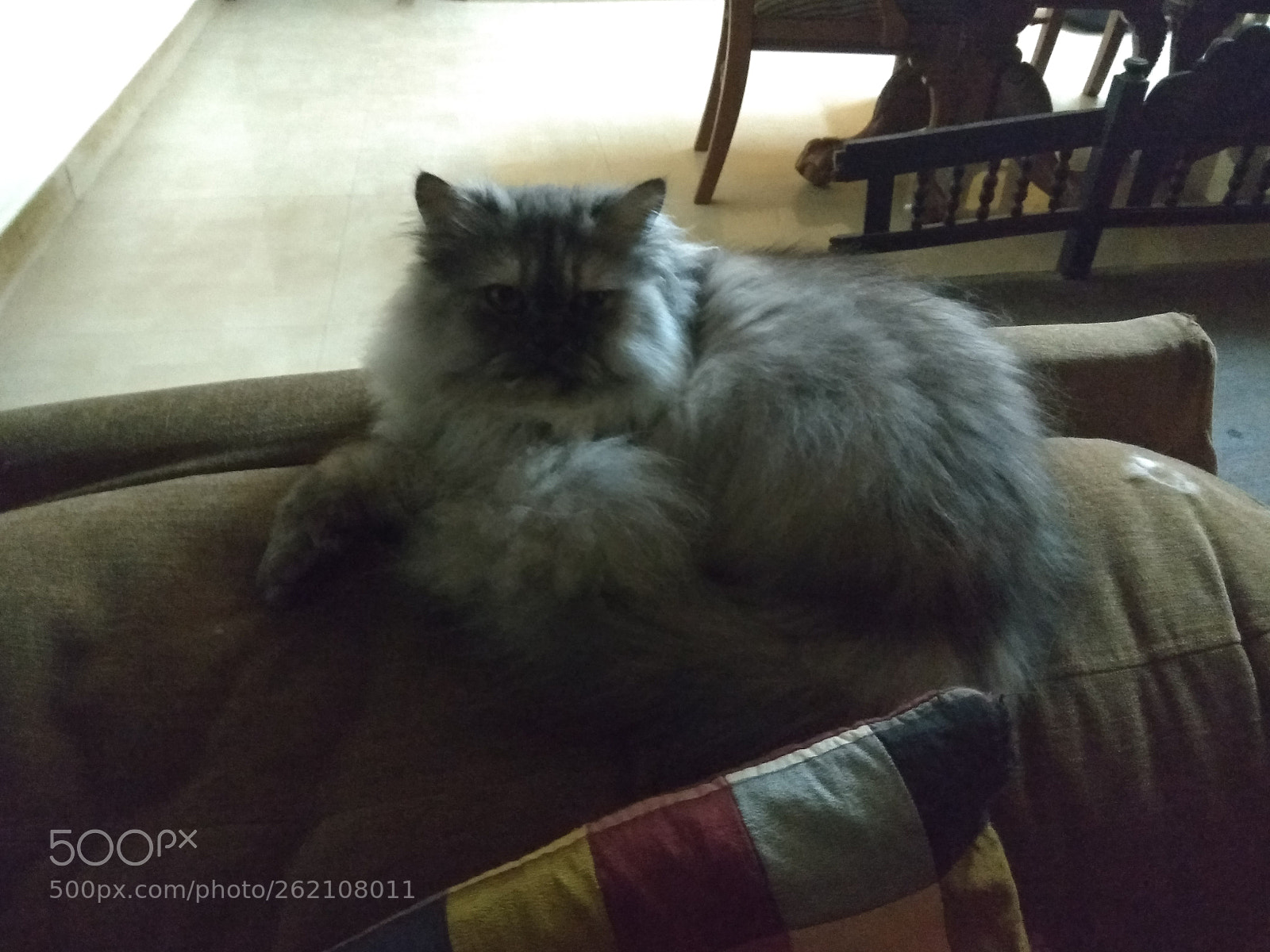 Xiaomi Redmi Note 4 sample photo. Untitled photography