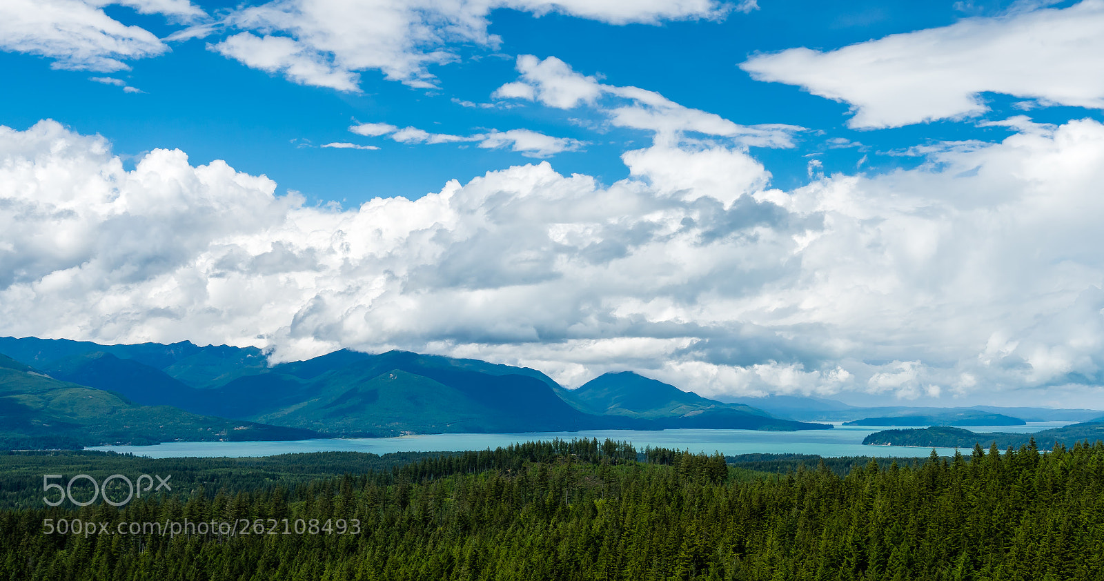 Sony a7R III sample photo. Hood canal, wa. photography