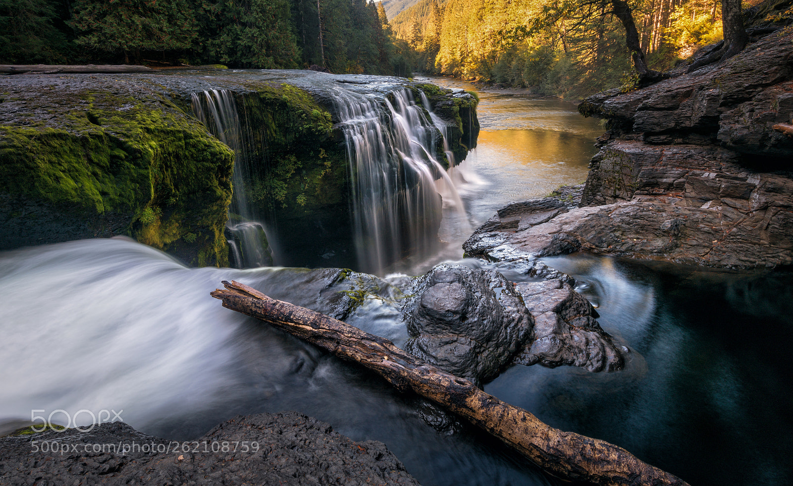 Nikon D850 sample photo. Lower lewis river falls photography