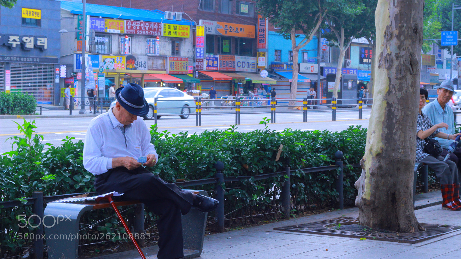 Canon EOS 600D (Rebel EOS T3i / EOS Kiss X5) sample photo. Img photography